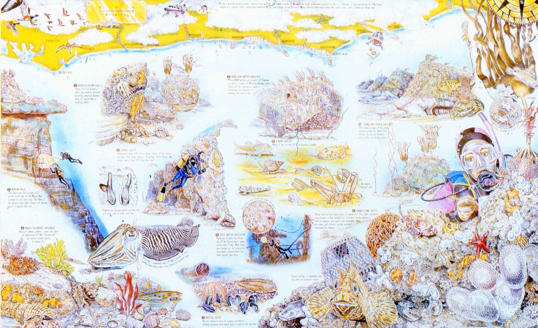 Sussex Seasearch poster